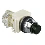 9001K2L35LGGH13 - BOTÃO LUMINOSO Ø30MM METÁLICO SALIENTE LED VERDE NA NF 24VCA CC