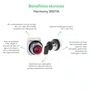9001K2L35LGGH13 - BOTÃO LUMINOSO Ø30MM METÁLICO SALIENTE LED VERDE NA NF 24VCA CC