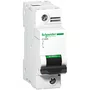 A9N18446 - DISJUNTOR C120H 1P CUR VA C 80A 440 V