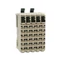 TM5C24D18T - BLOCO DE ENTRADAS E SAÍDAS DIGITAIS 24 ENTRADAS/18 SAÍDAS ENTRADAS SINK SAÍDAS SOURCE 24 VDC TERMINAL MOLA