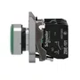 XB4BW33G5 - BOTÃO LUMINOSO Ø22MM METÁLICO RETORNO POR MOLA VERDE NA NF 110VCA
