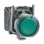 XB4BW33M5 - BOTÃO LUMINOSO Ø22MM METÁLICO RETORNO POR MOLA VERDE NA NF 230VCA