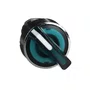 ZB4BK1233 - CABEÇOTE PARA CHAVE SELETORA LUMINOSA Ø22MM METÁLICO 2 POSIÇÕES FIXAS VERDE